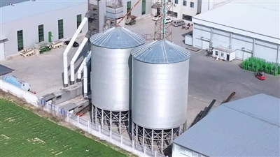 Silo Baja vs Silo Beton: Napi sane mabinayan?
