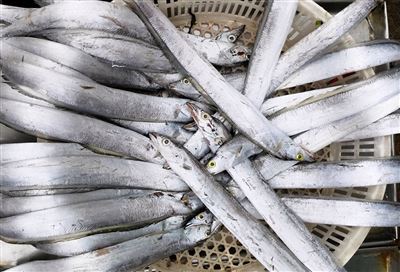 Ida dane sareng sami